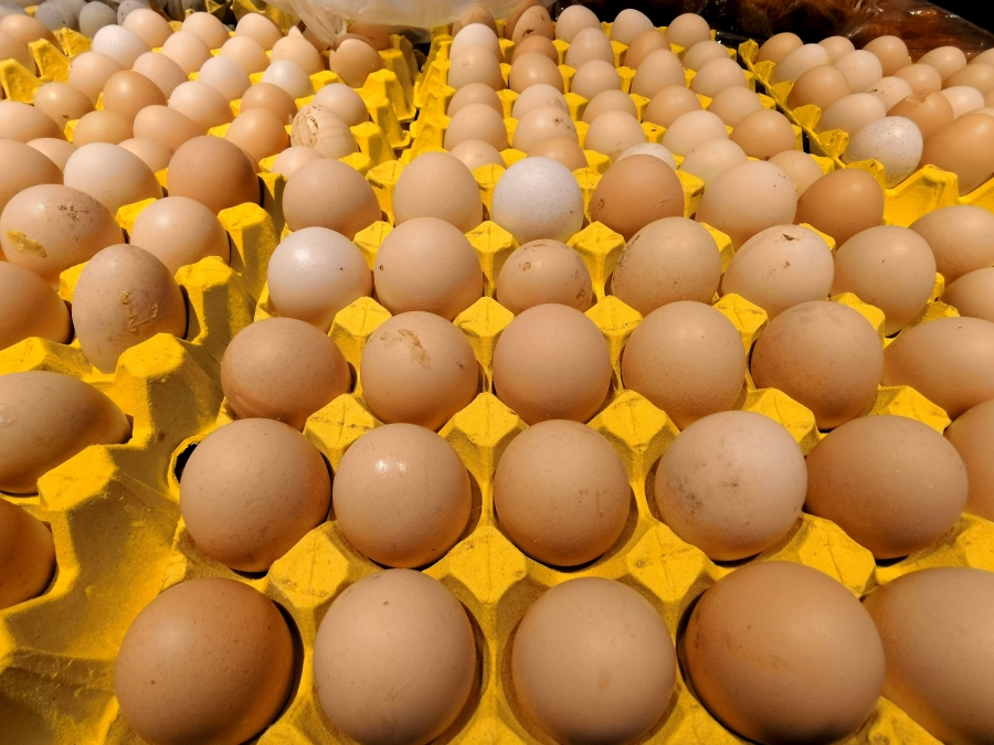 重庆：农贸市场零售价涨幅收窄，禽蛋价格小幅上涨