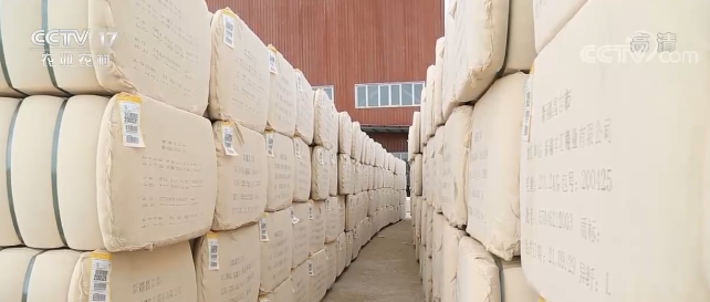 新疆拓展棉花运输全程物流服务链条 保证新棉尽快出疆