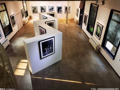 福州市桂湖美术馆升级转型后正式对外开放 并推出新馆的开馆首展