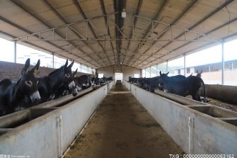 吉林省四平市梨树县市场监管局多举措支持养殖业(肉牛业)发展