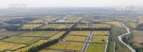 山西忻州大力发展杂粮产业 坚持走优质特色发展之路