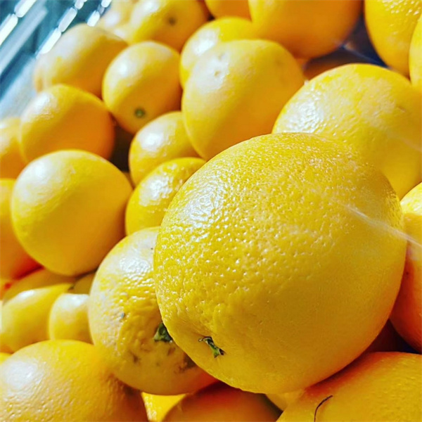 当柑橘遇上“快递超市” 科技赋能帮助更多果农增收致富