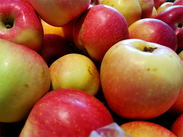 陕西苹果产业“内外兼修” 产品远销至80多个国家和地区
