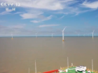 国内首个百万千瓦级海上风电项目正式投用 成为最新里程碑