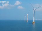 国内海上风电项目再次上新 为大湾区建设提供清洁能源动力