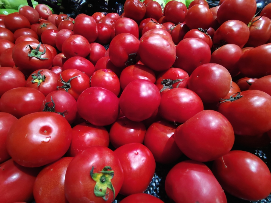 基因改造番茄或能成为维生素D3的一个新的膳食来源